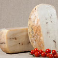 Aged Pecorino cheese with pepper